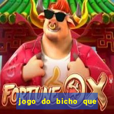 jogo do bicho que paga no pix